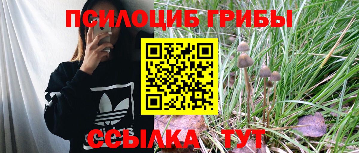 Псилоцибиновые грибы GOLDEN TEACHER  Галлюциногенные грибы MAGIC MUSHROOMS  Кулебаки  Вход с VPN 